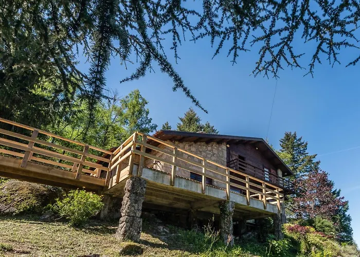 Mid-century Modern Gem In Braga *