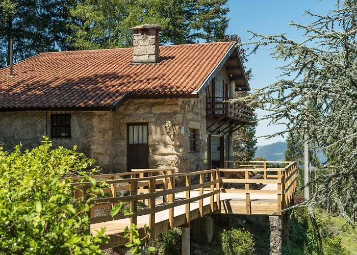 Mid-century Modern Gem In Braga