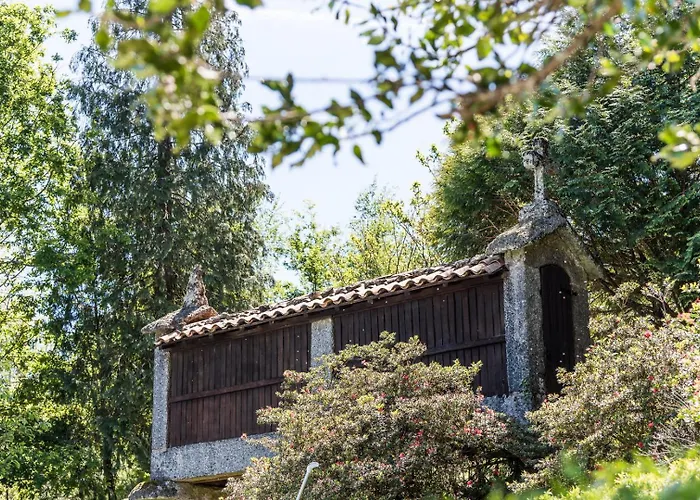 Mid-century Modern Gem In Braga